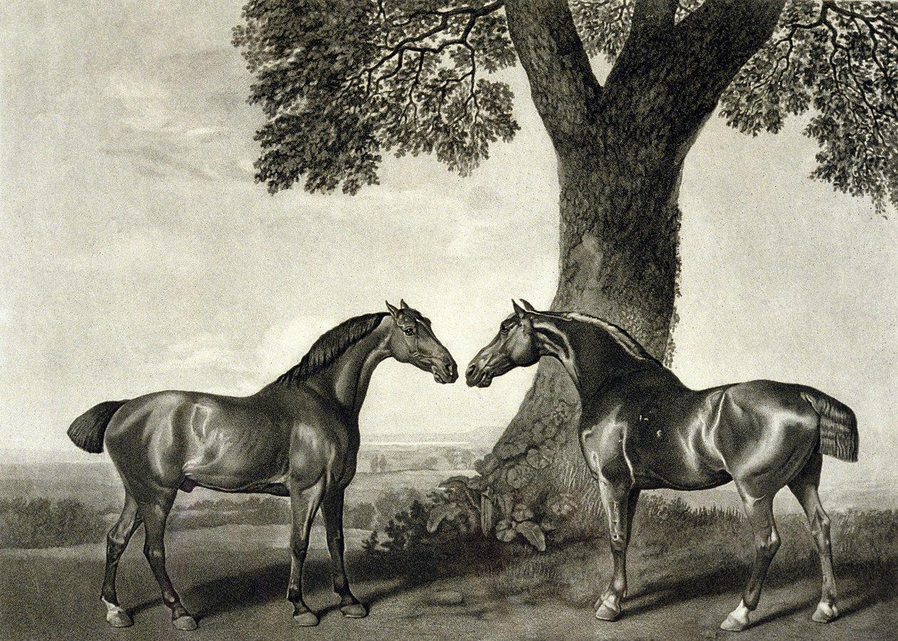 Deux chasseurs, gravé par G.T. Stubbs - George (after) Stubbs