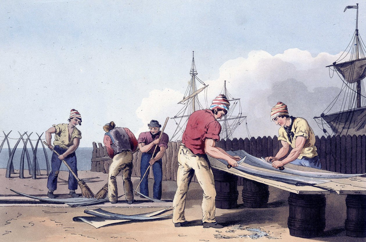 Pêcheurs grattant et nettoyant les restes de baleines de "Le costume du Yorkshire", gravé par Robert Havell (1769-1832) 1814 - George (after) Walker