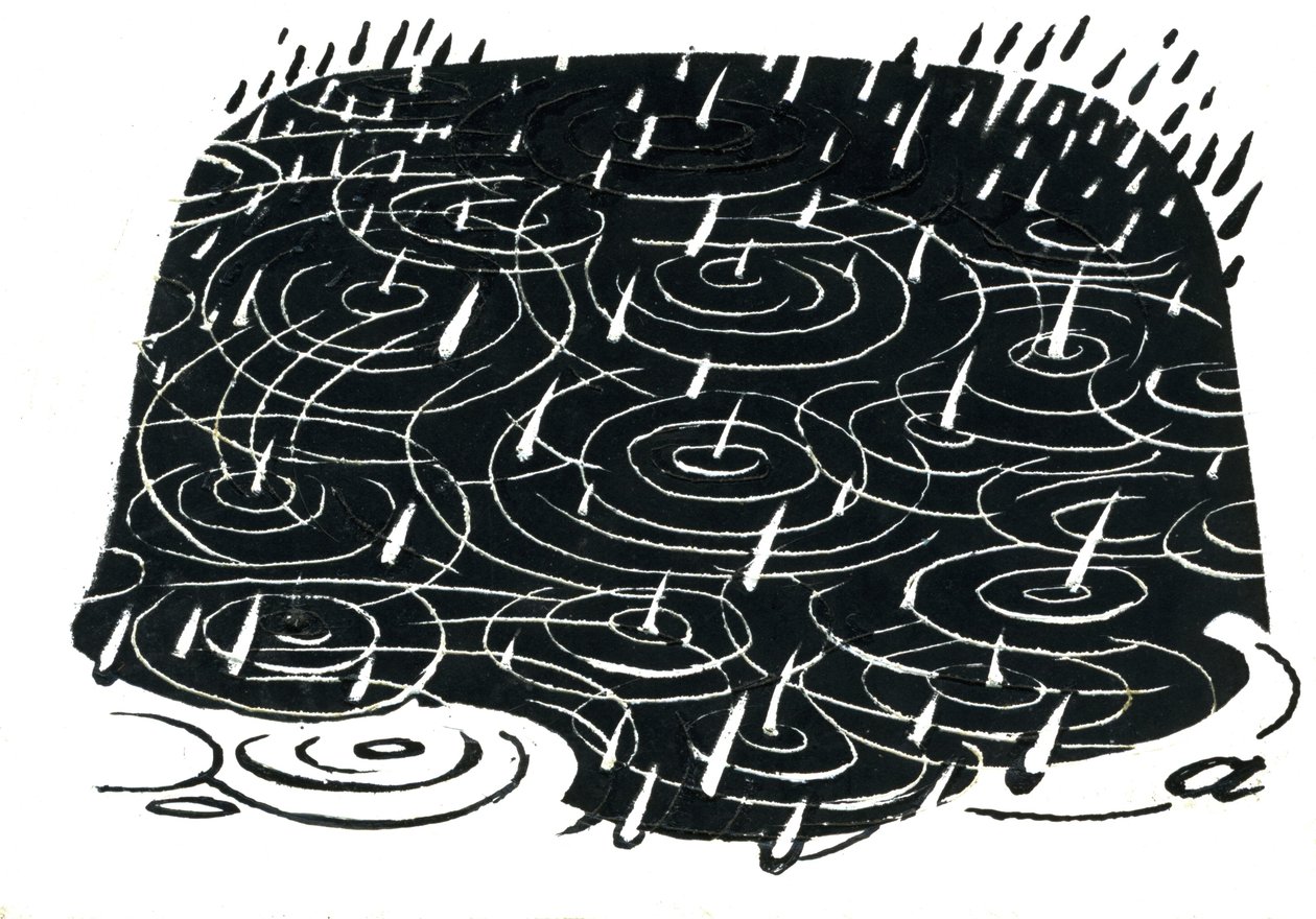 Design de flaque de pluie - George Adamson