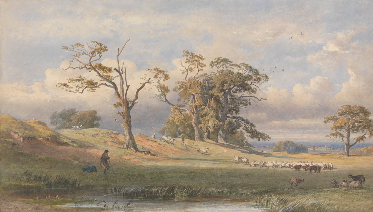Ancien camp britannique dans le parc de Bulstrode - George Arthur Fripp