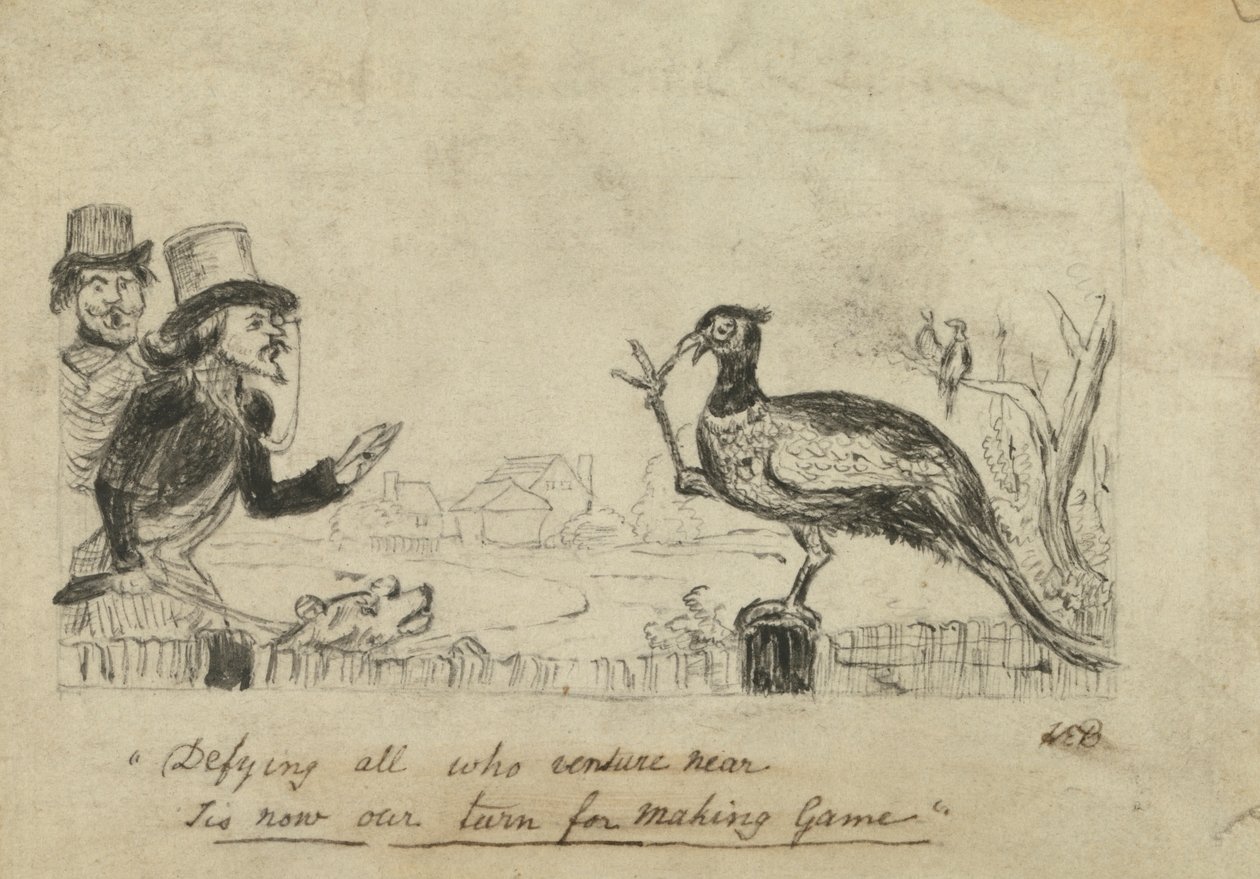 Faisan défiant les chasseurs - George Augustus Sala