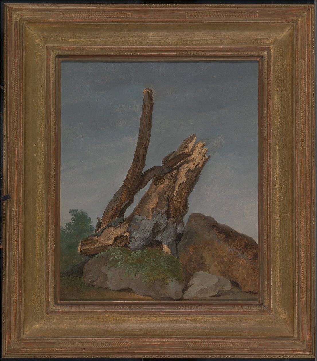 Étude des roches et des branches - George Augustus Wallis