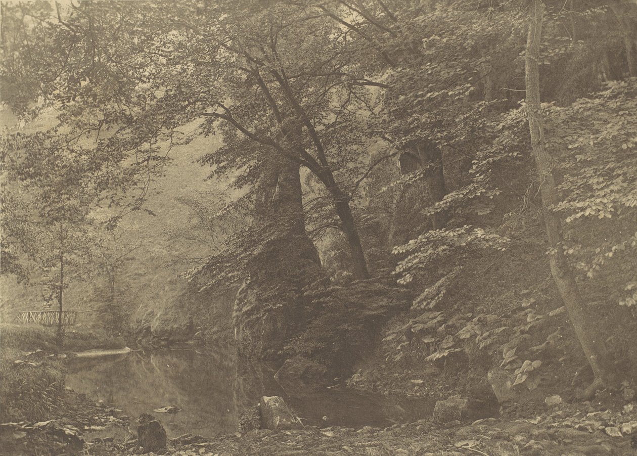 Piscine de brochet, années 1880, imprimé en 1888 - George Bankart