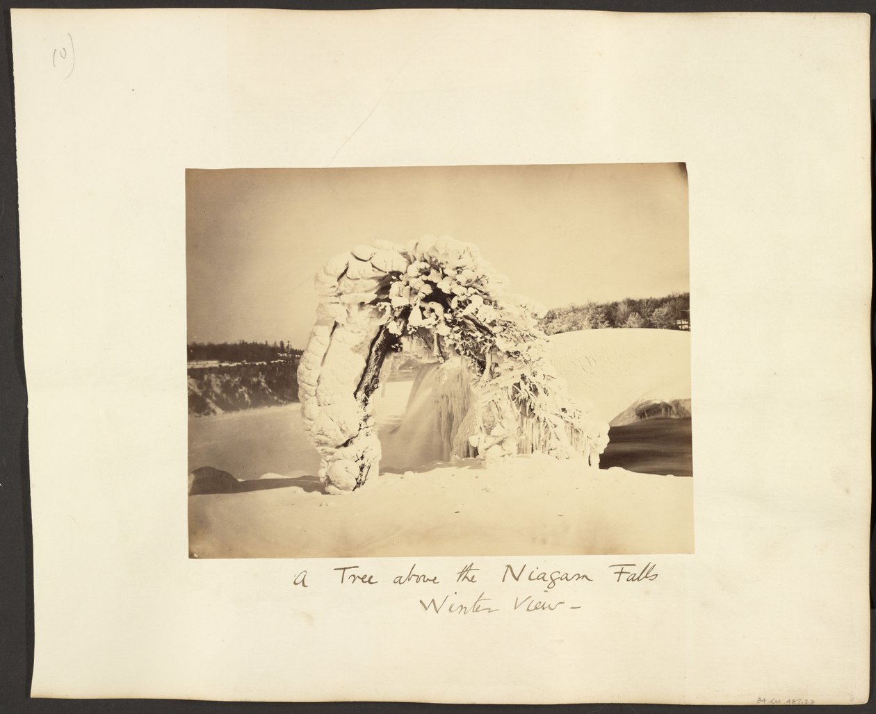 Un arbre au-dessus des chutes du Niagara - George Barker