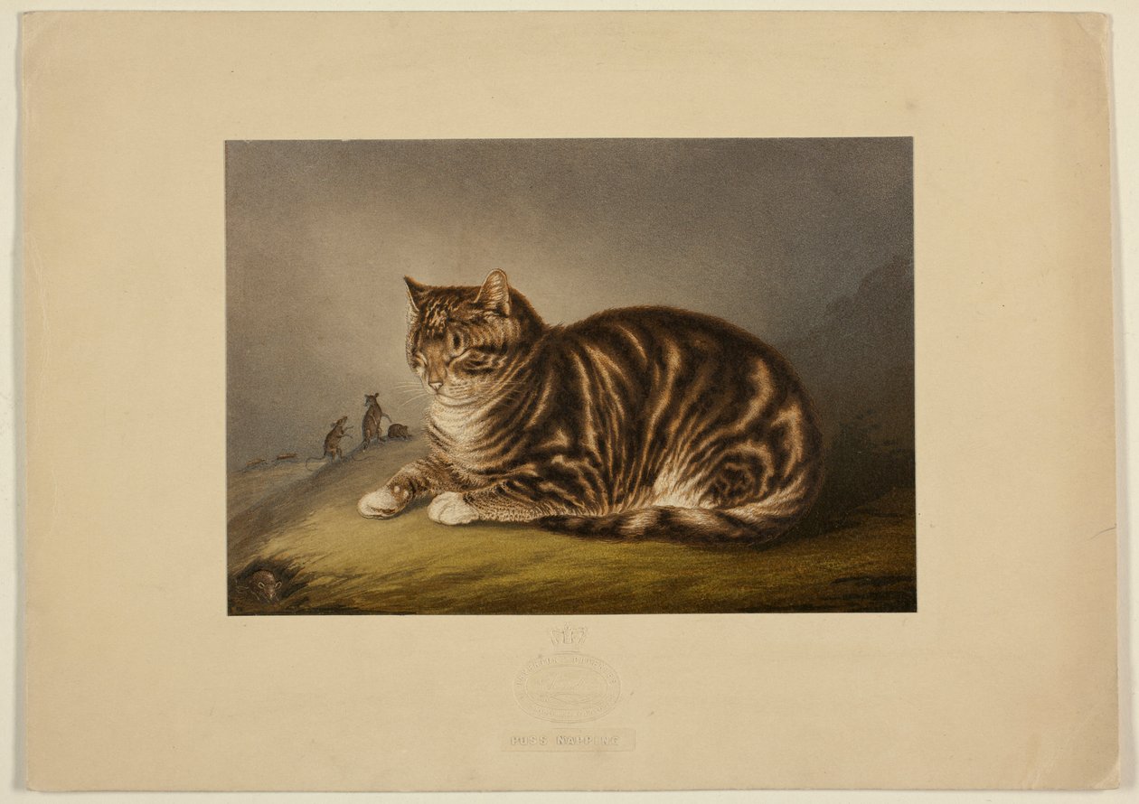 Chat faisant la sieste - George Baxter