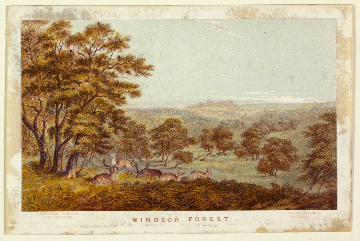 Forêt de Windsor - version livre de poche - George Baxter