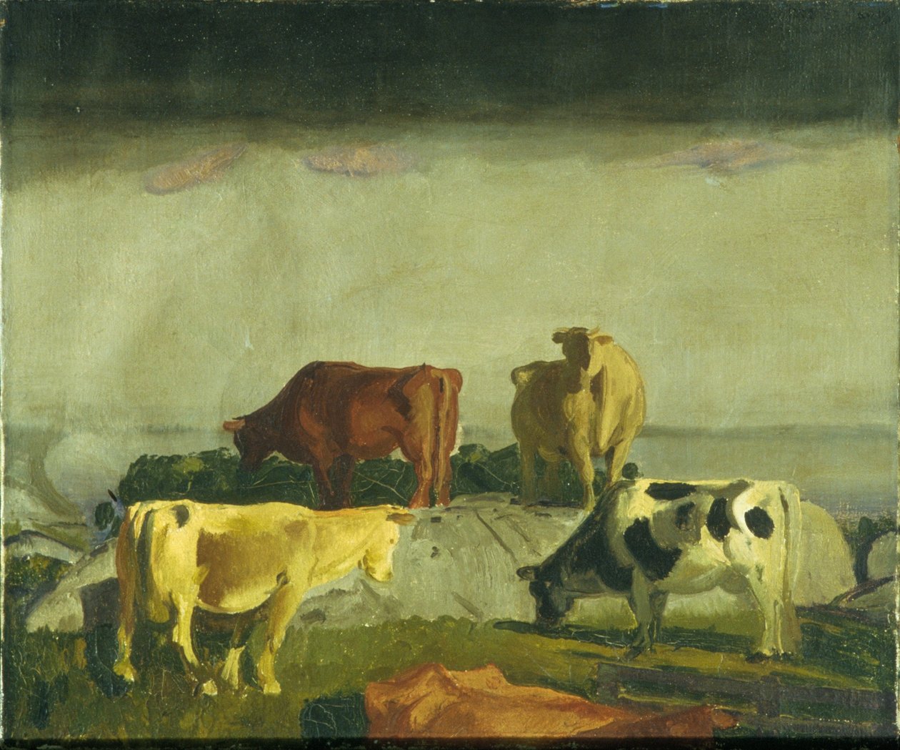 La vigne rouge, île Matinicus, Maine - George Bellows