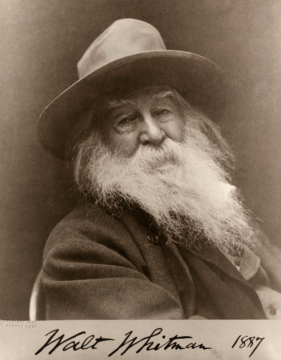 Portrait de Walt Whitman en 1887 - George C. Cox