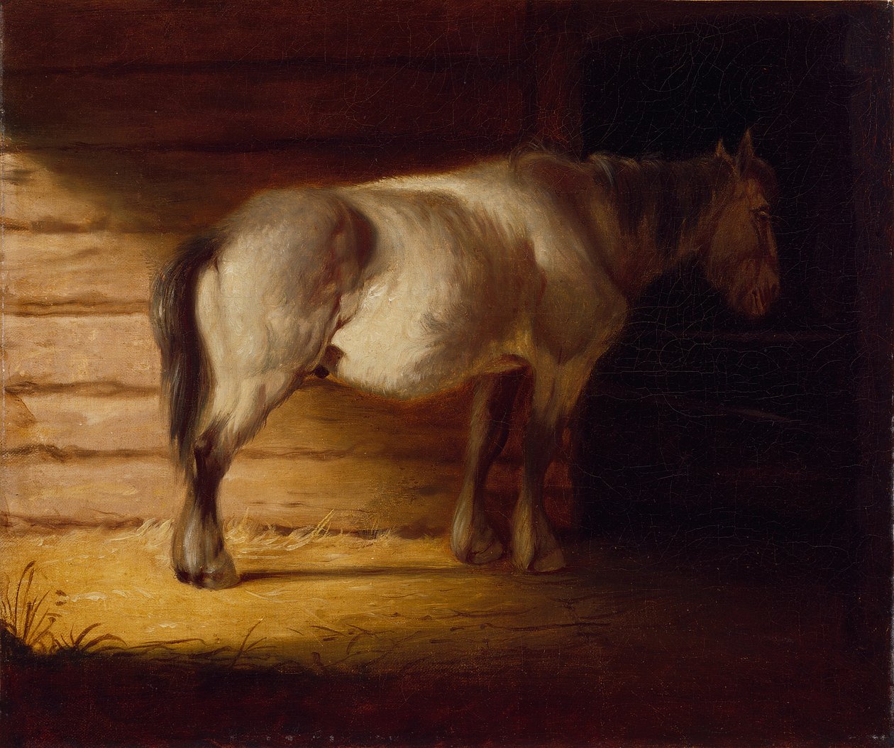 Vieux cheval de trait, 1856 (huile sur toile) - George Caleb Bingham