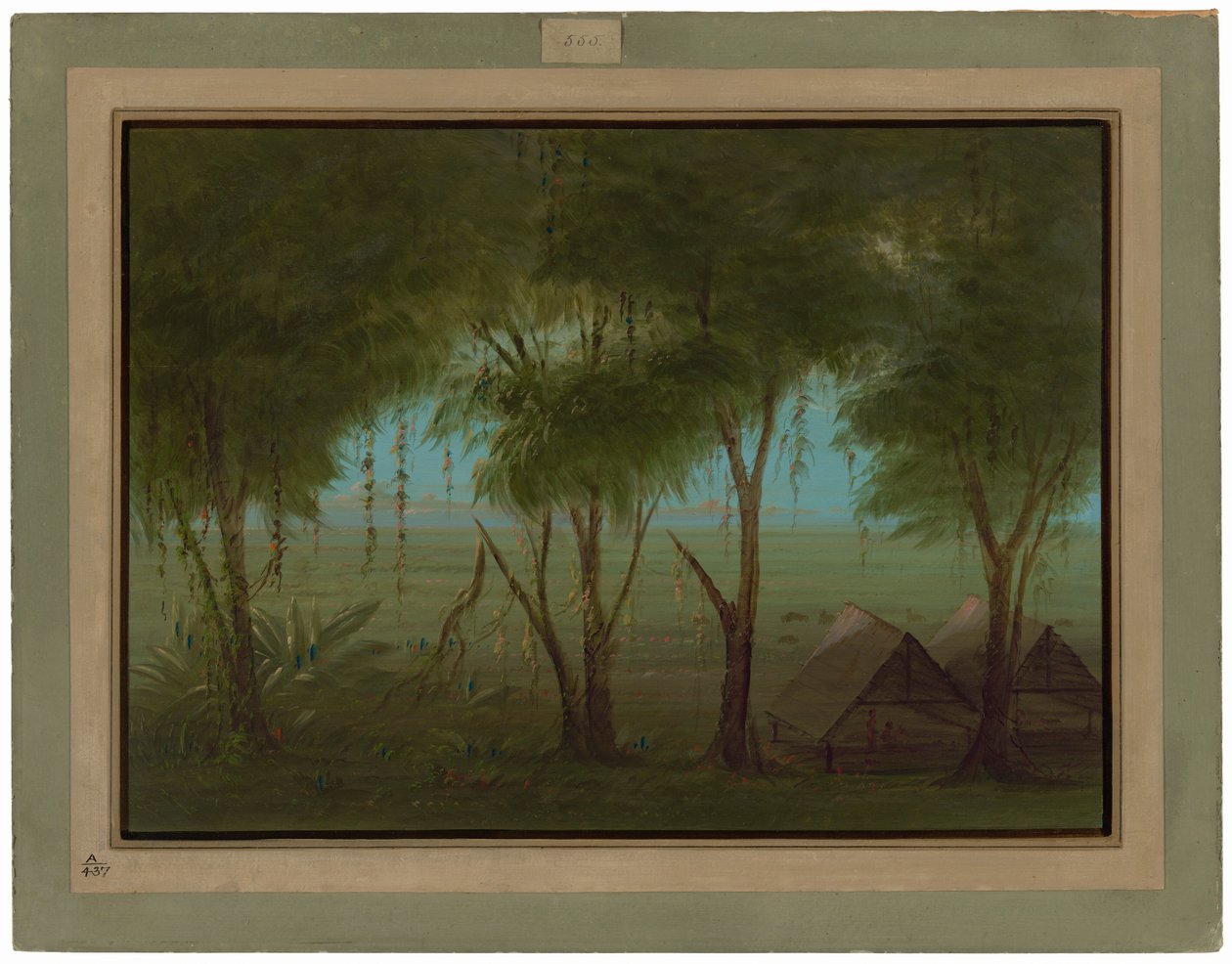 Un village connibo - George Catlin