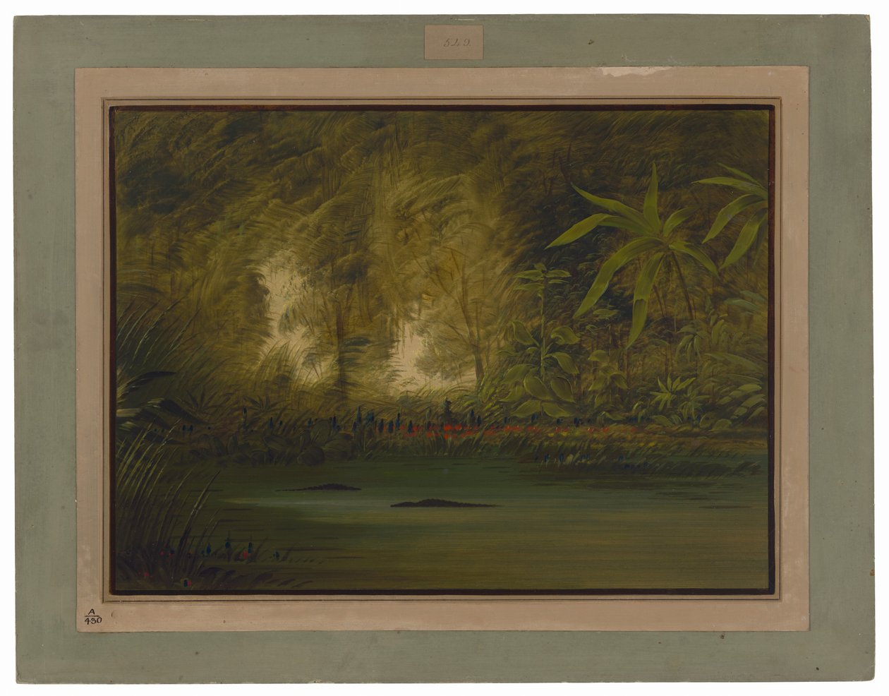 Une lagune du haut Amazone - George Catlin
