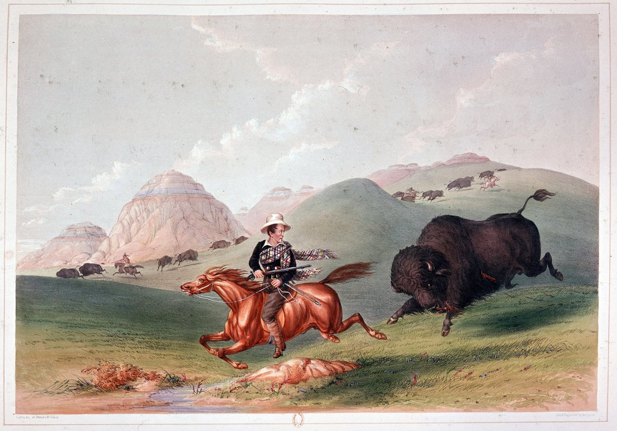 Chasse au bison en Amérique du Nord - lithographie par Georges Catlin - George Catlin