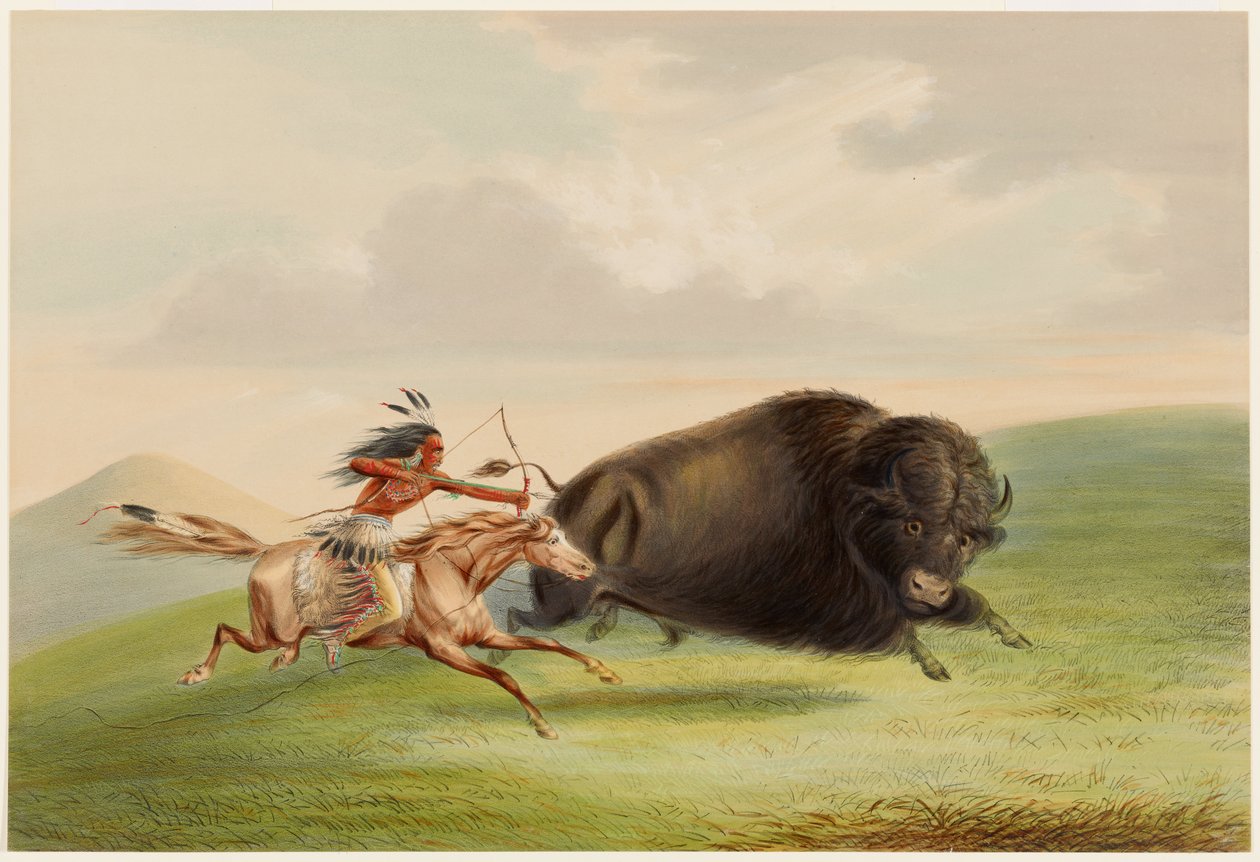 Chasse au bison, poursuite - George Catlin
