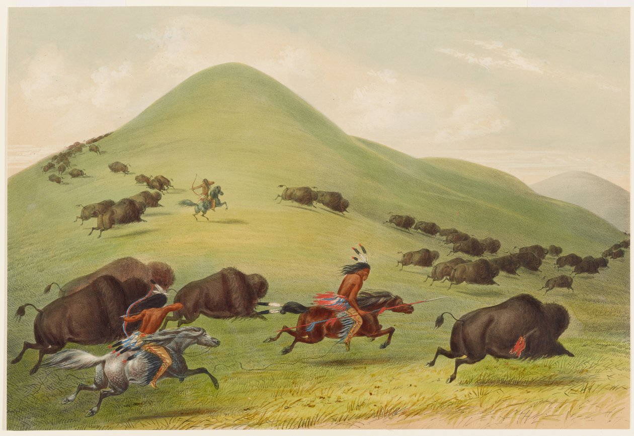 Chasse au bison : poursuite - George Catlin