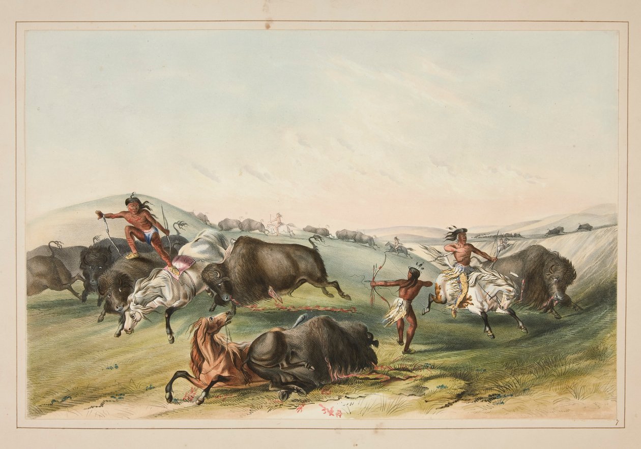Chasse au bison, pl. 7 du Portfolio des Indiens d