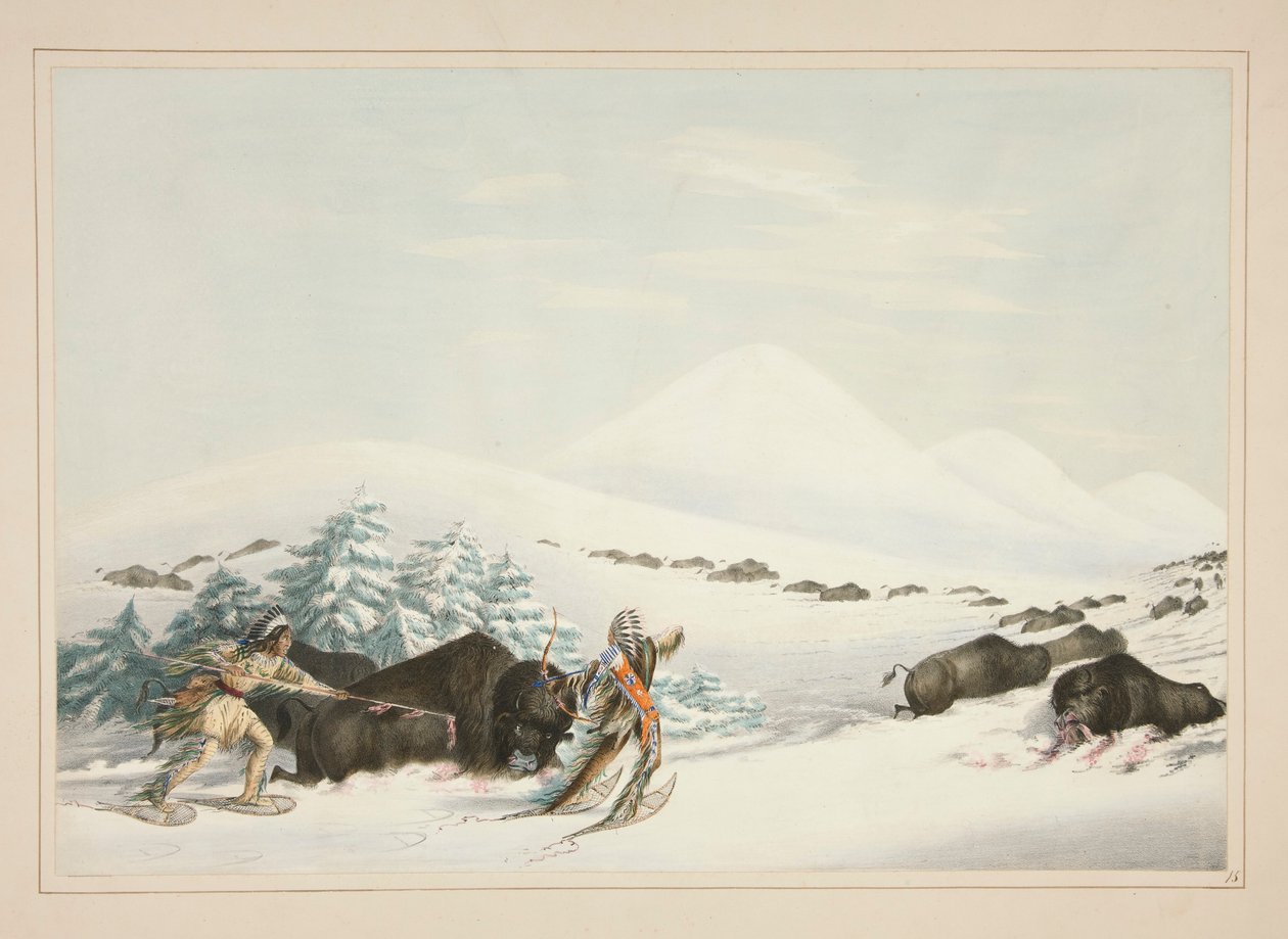 Chasse au bison, en raquettes, pl. 15 du portfolio des Indiens d