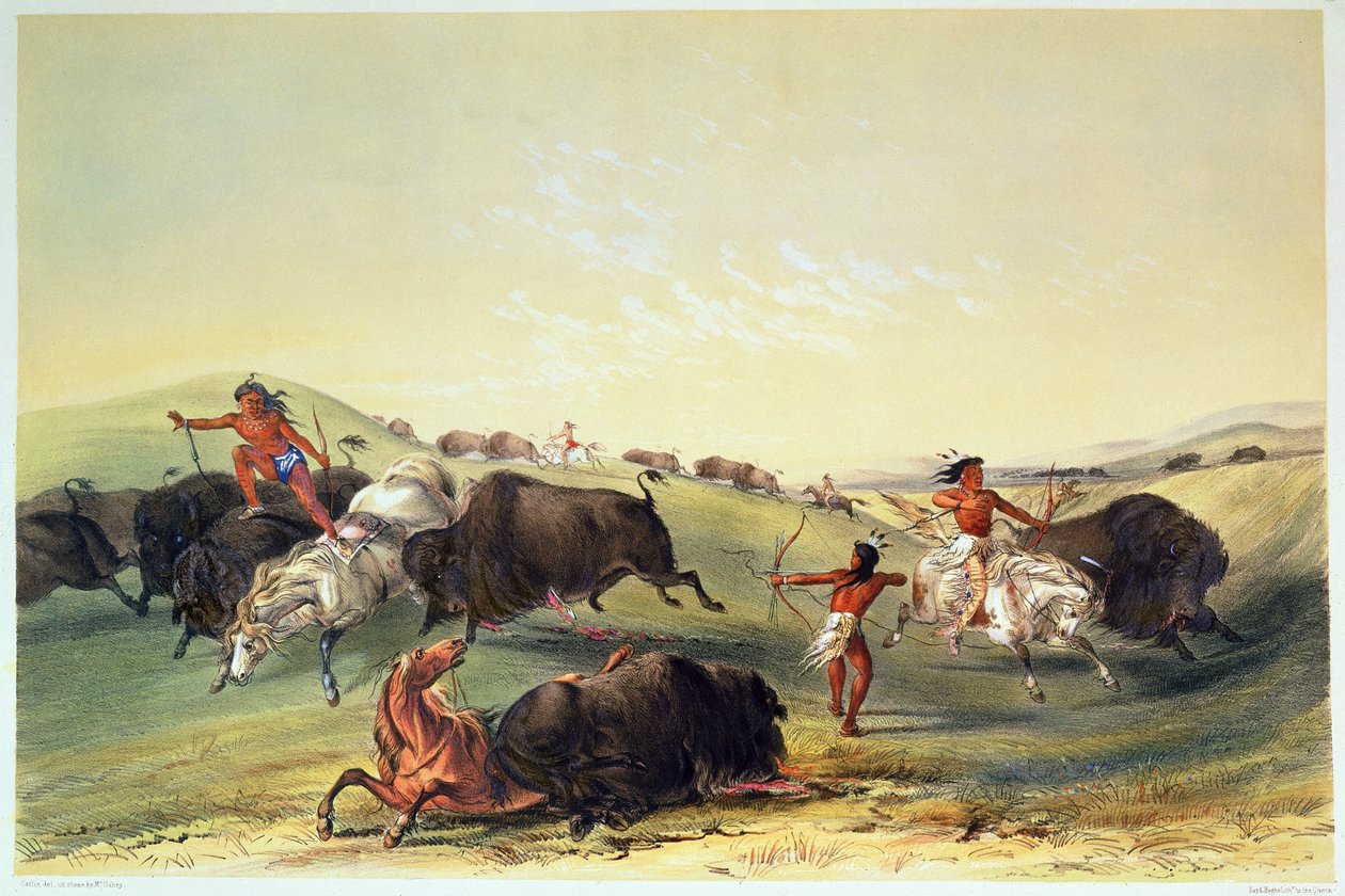 Chasse au bison, planche 7 de la collection des Indiens d