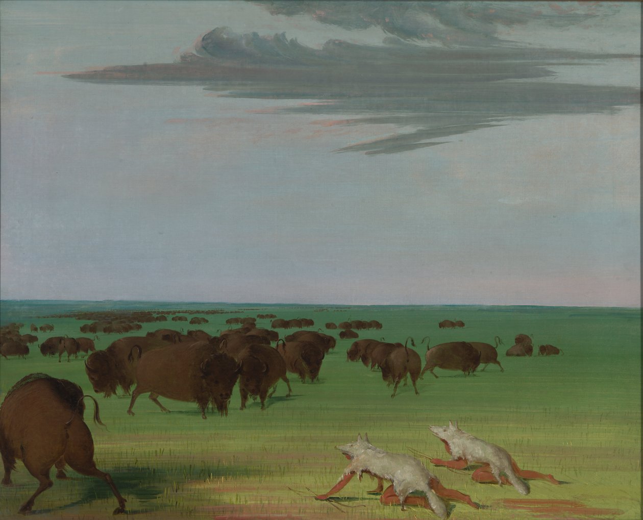 Chasse au bison sous le masque de peau de loup, 1832-1833 - George Catlin