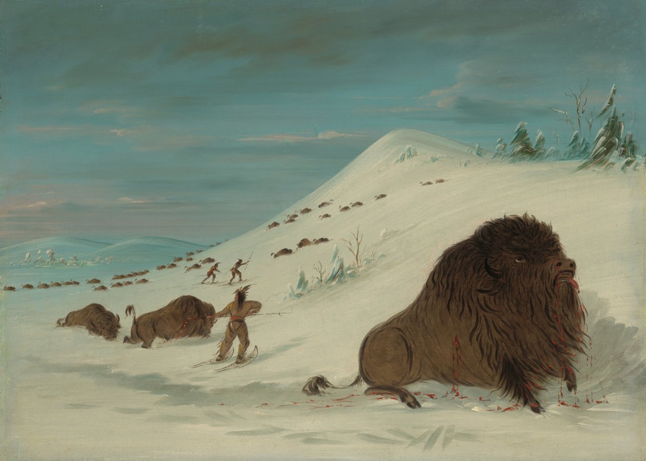 Lancement de buffles dans les congères - Sioux, 1861-1869 - George Catlin