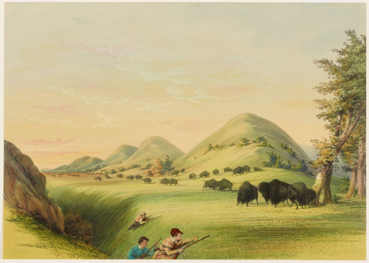 Chasse au bison, approche dans un ravin - George Catlin