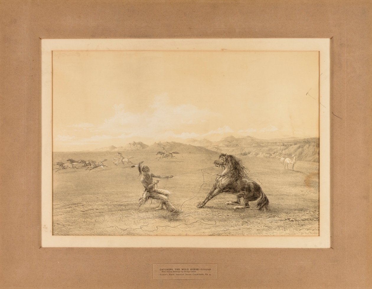 Attraper le cheval sauvage--no. 4 - George Catlin