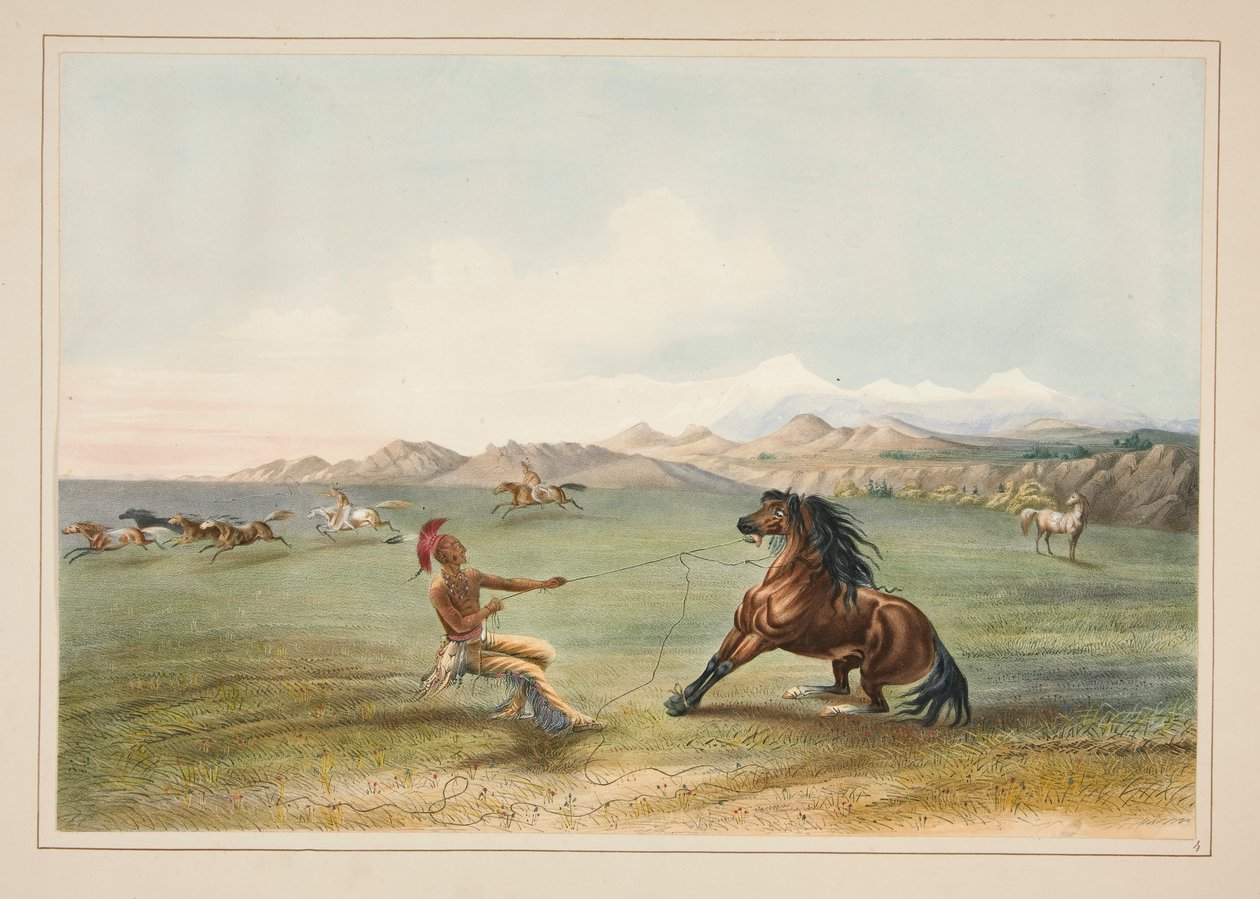 Attraper le cheval sauvage, pl. 4 du Portfolio des Indiens d