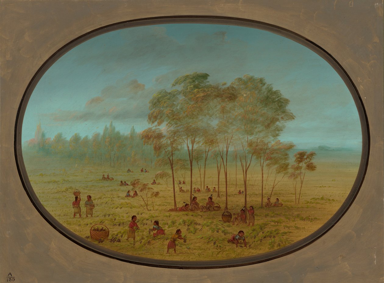 Indiens Kiowa Récoltant des Raisins Sauvages, 1861-1869 - George Catlin