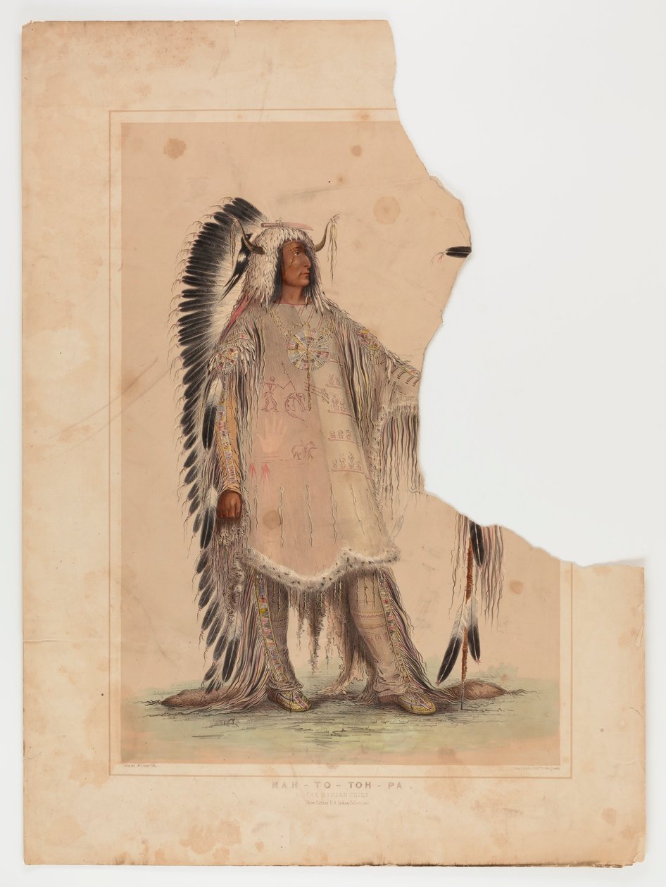 Mah-to-toh-pa, le chef des Mandans - George Catlin