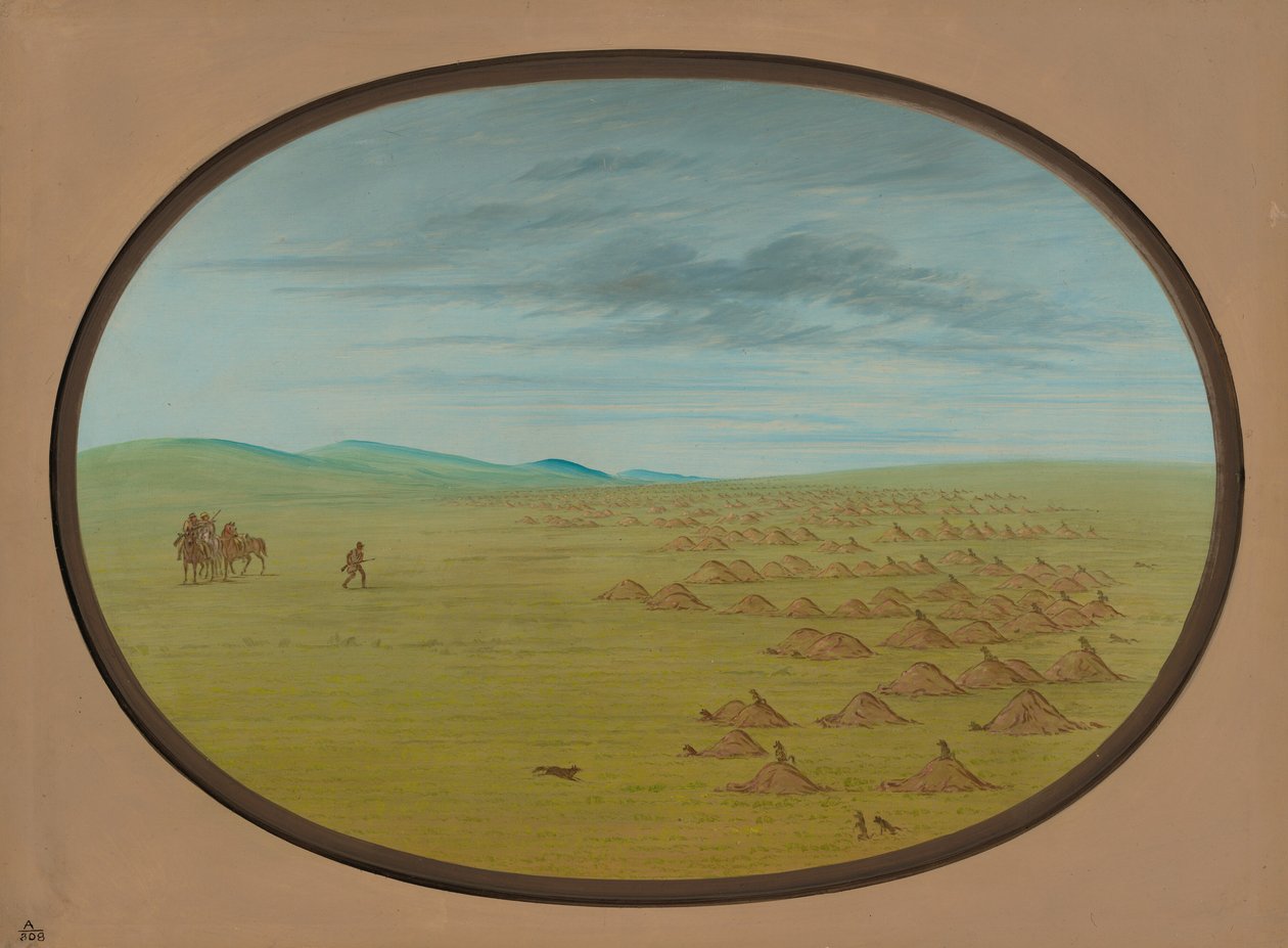 Village de chiens de prairie - George Catlin