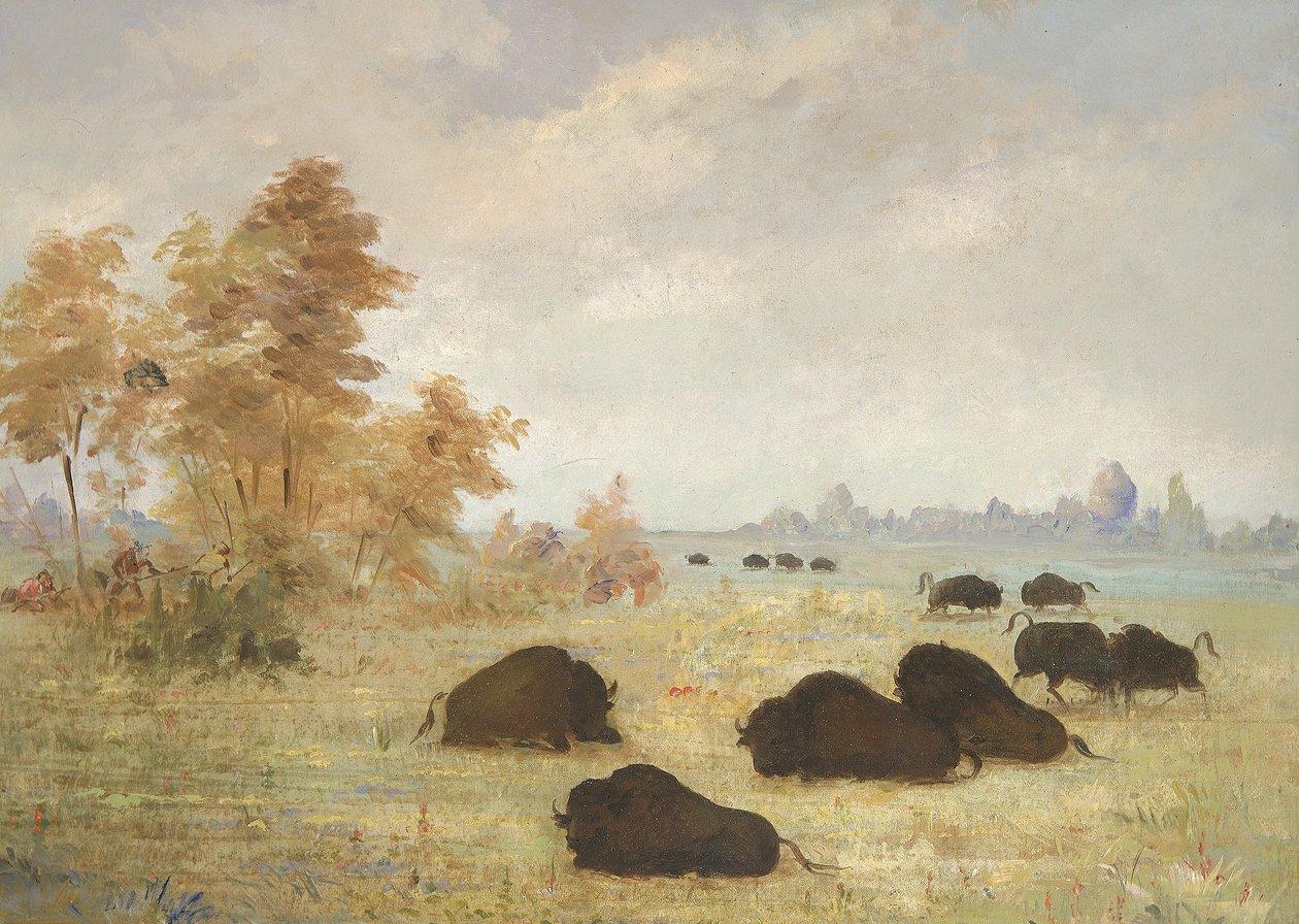 Traque aux buffles, Arkansas - George Catlin