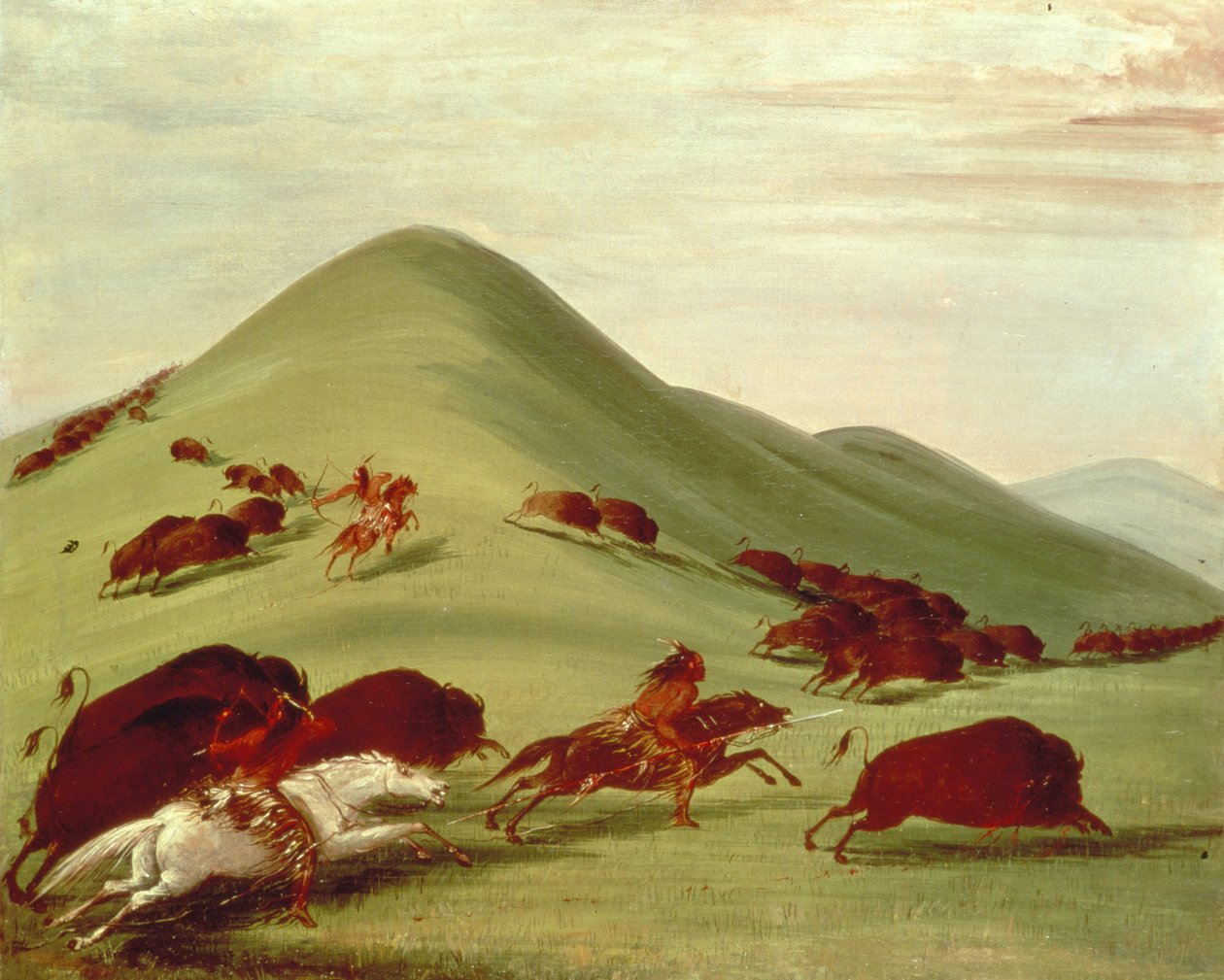 La chasse au bison - George Catlin