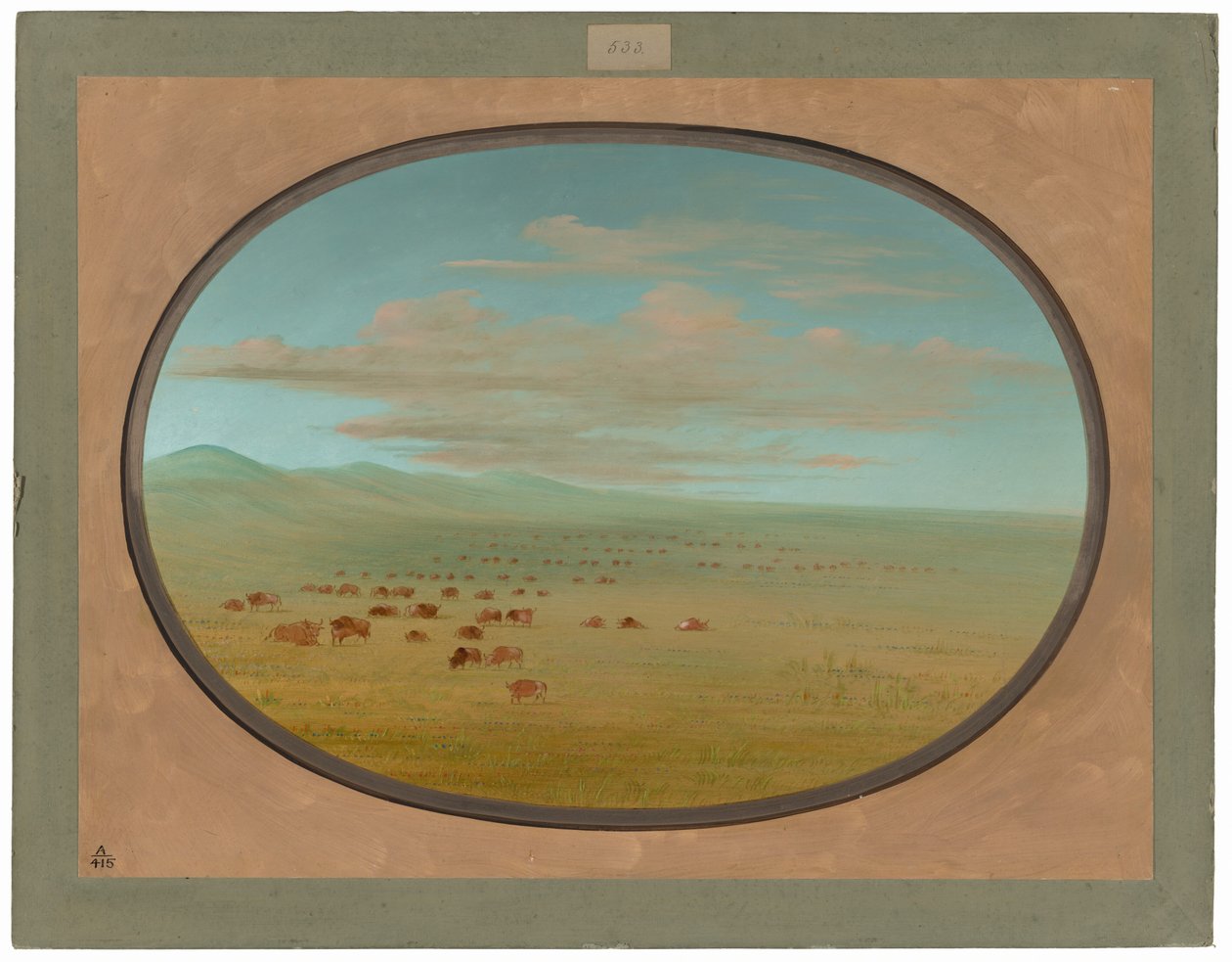 Bétail sauvage broutant sur la Pampa del Sacramento - George Catlin