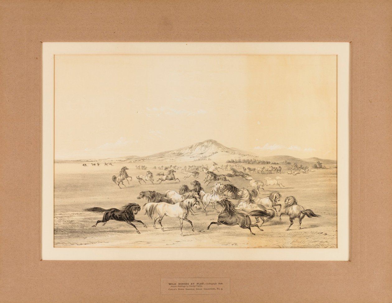 Les chevaux sauvages au jeu--no. 3 - George Catlin