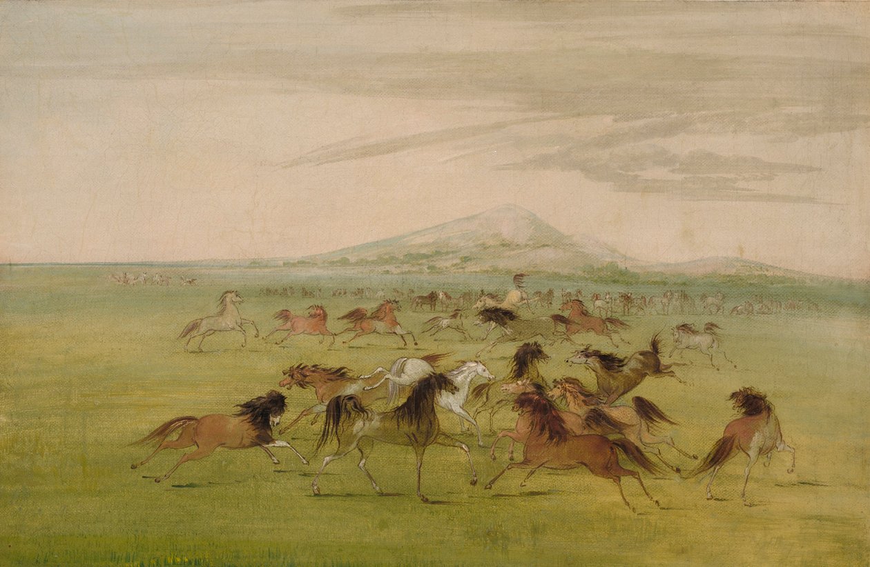 Les chevaux sauvages au jeu - George Catlin