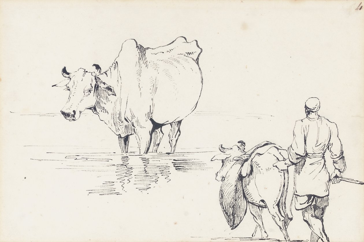 Études de bétail indien - George Chinnery