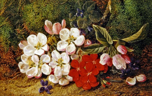 Fleurs et géraniums près d