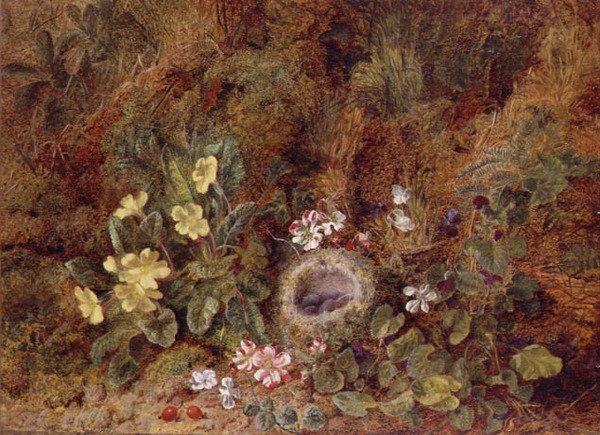 Nature Morte avec Nid d