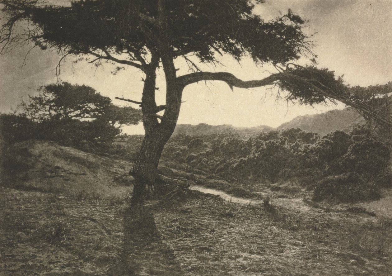 Camera Work: Le long bras - George Davison