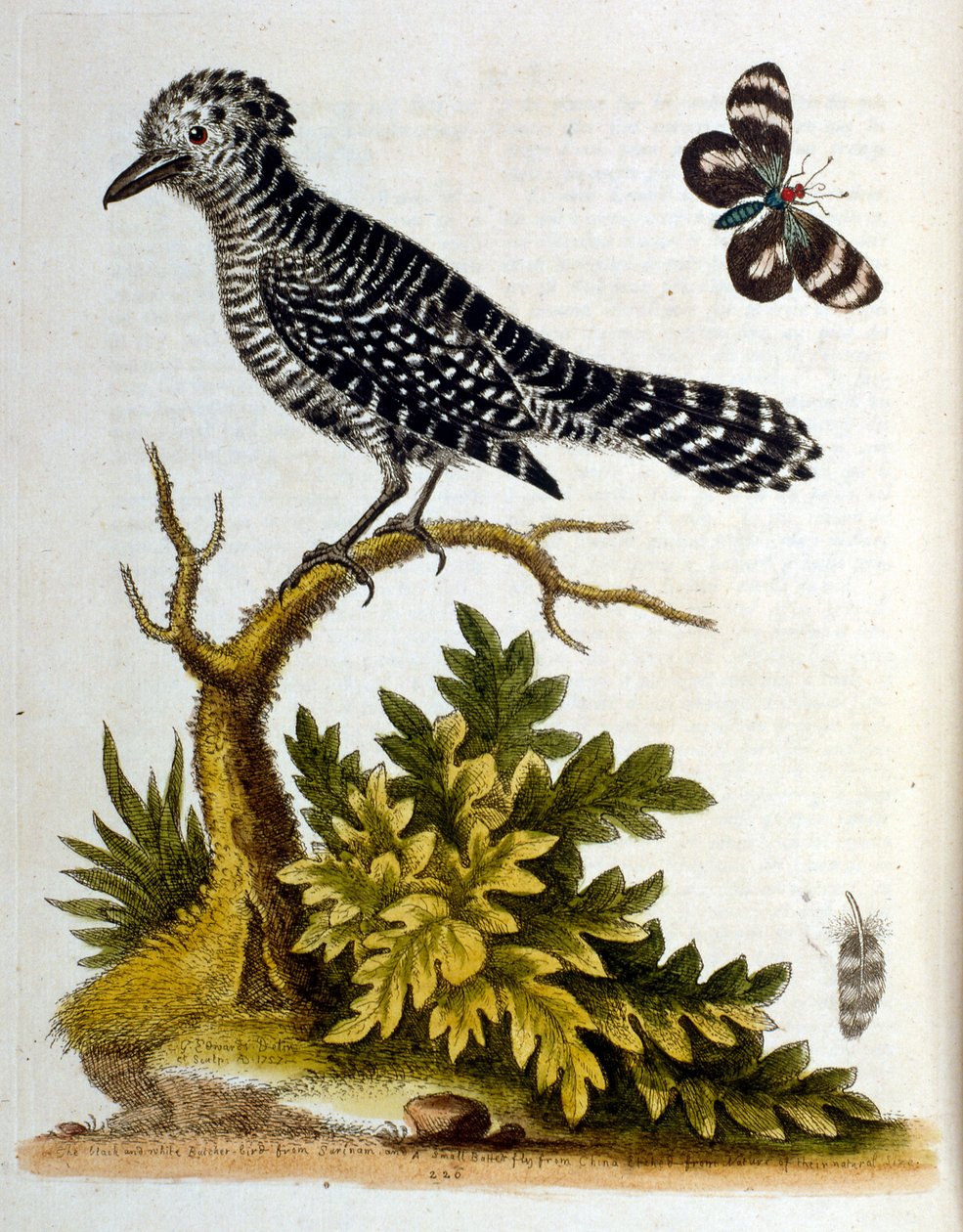 Illustration à l