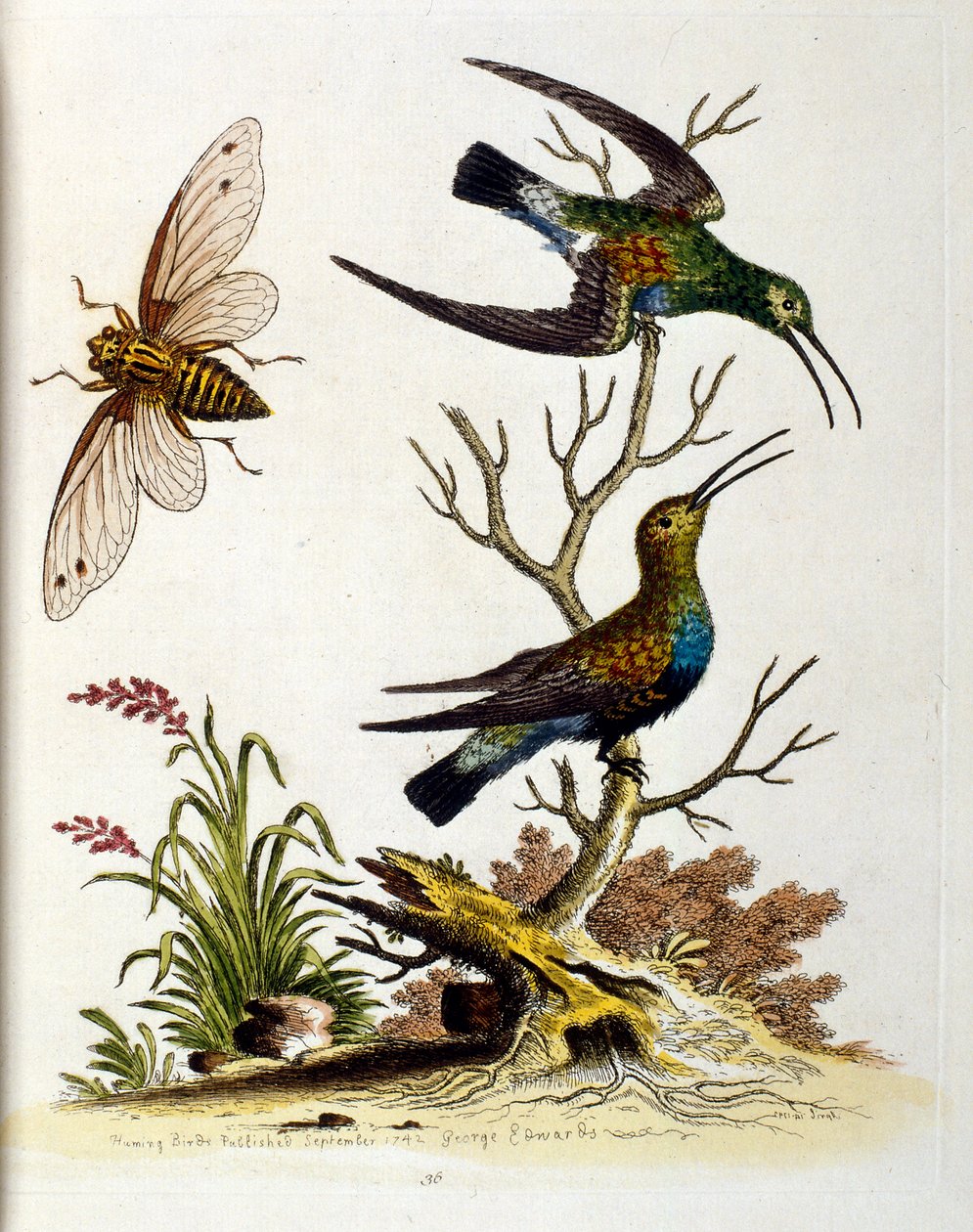 Illustration à l