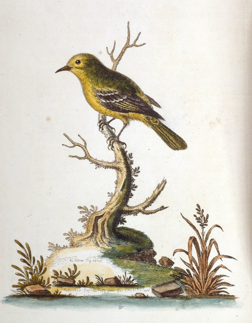 Illustration à l
