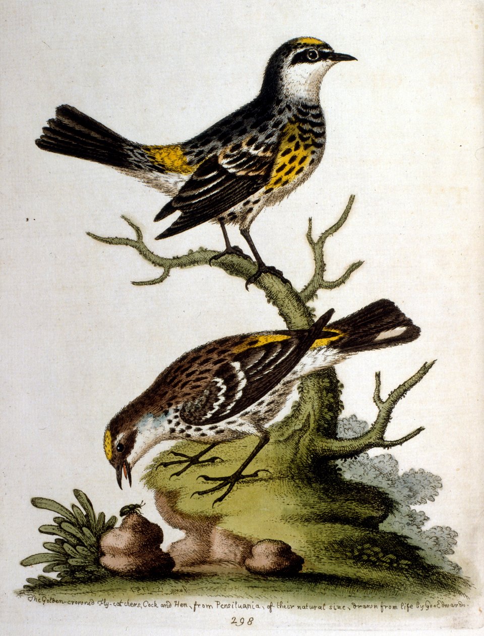 Illustration à l