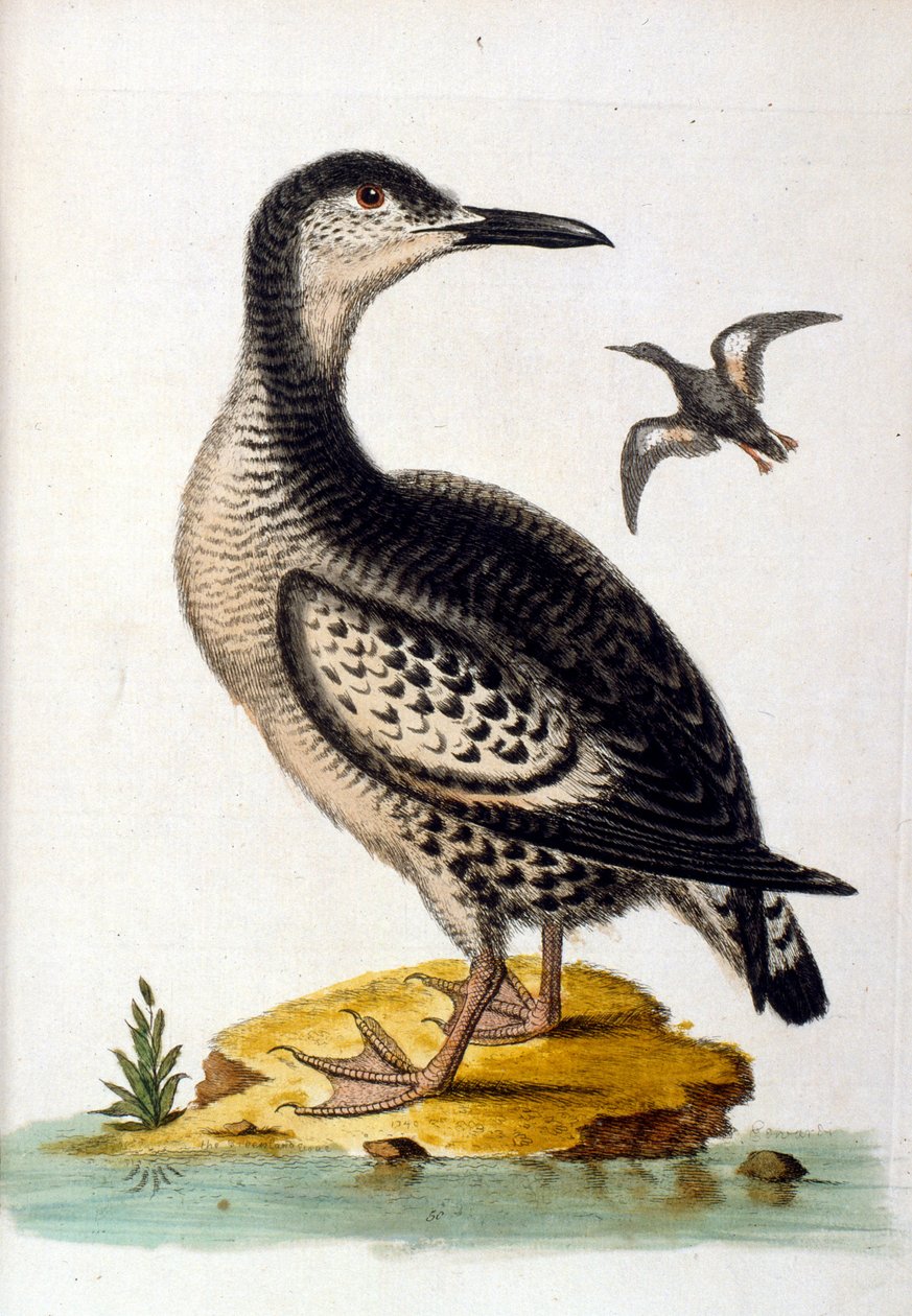 Illustration à l