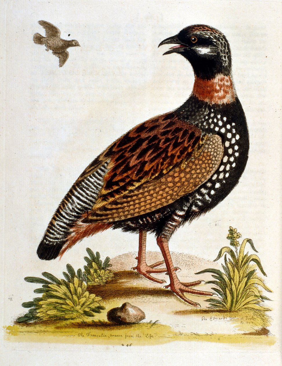 Illustration à l