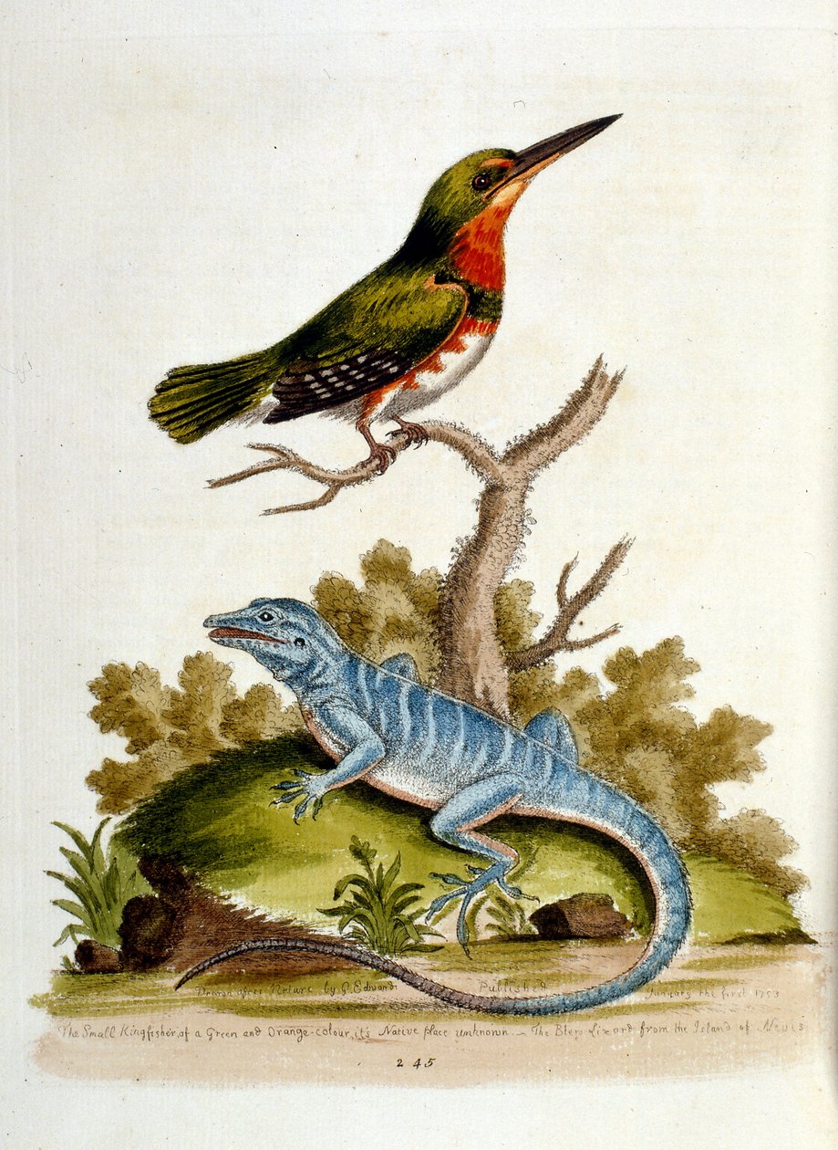 Illustration à l