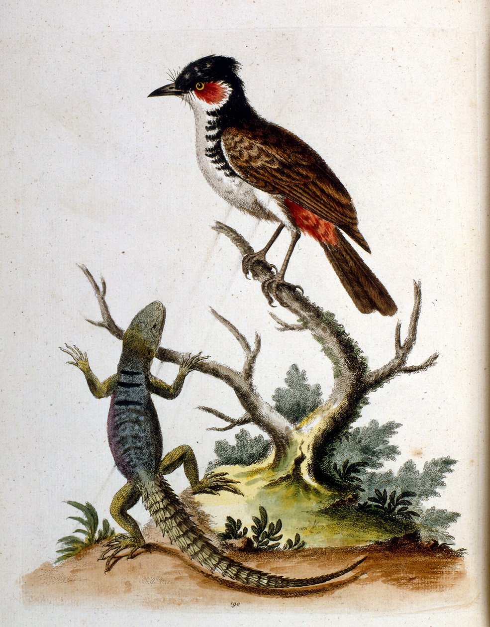 Illustration à l