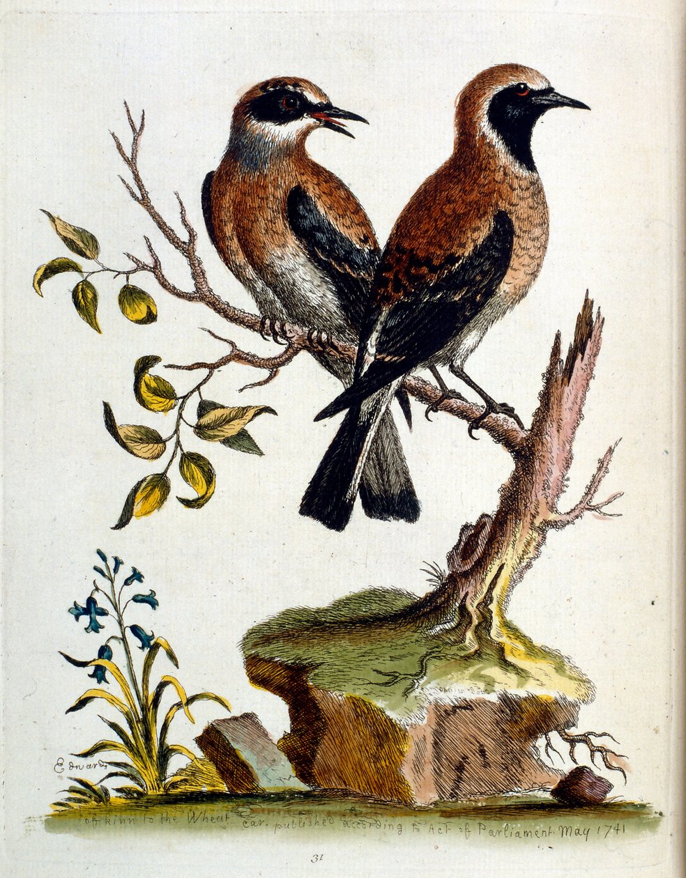 Illustration à l