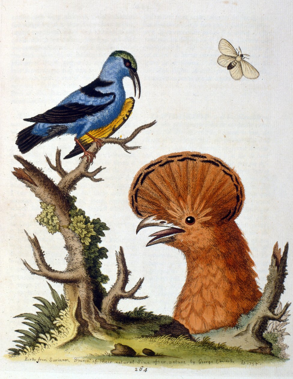 Illustration à l