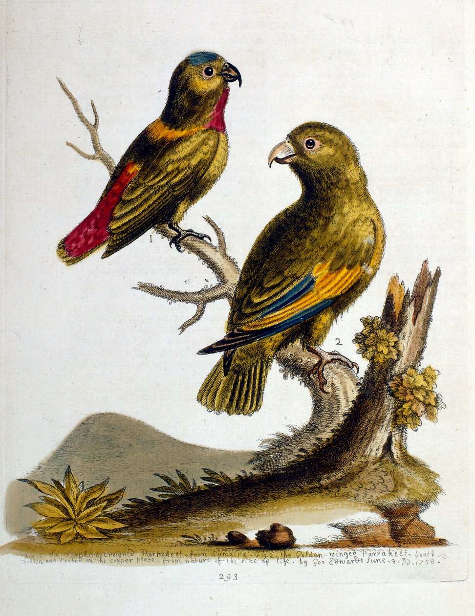Illustration à l