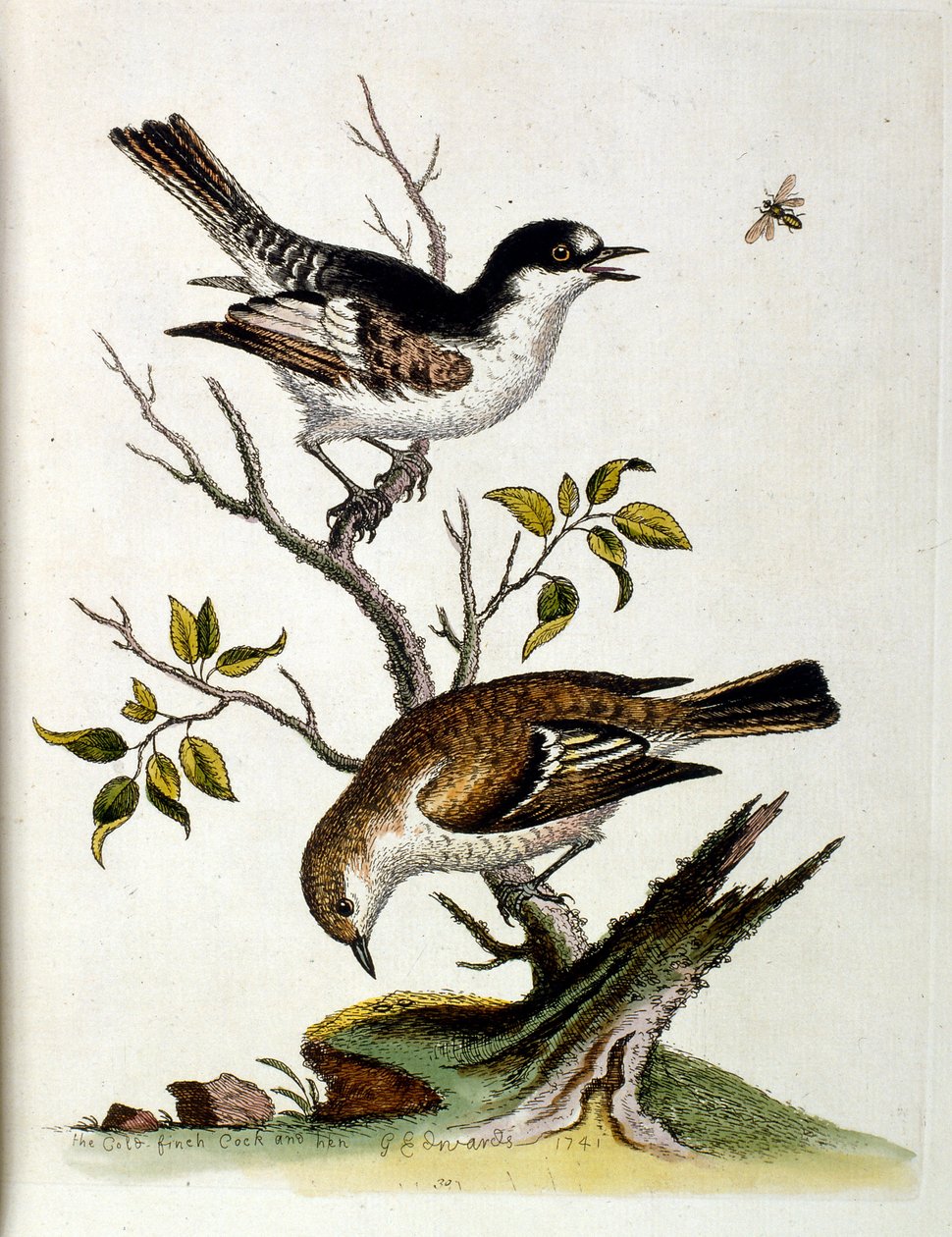 Illustration à l